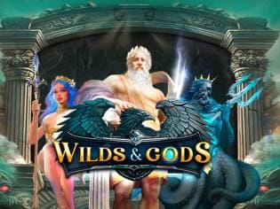 Wilds & Gods icon